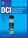 DEVELOPMENTAL AND COMPARATIVE IMMUNOLOGY雜志封面